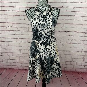 Charlotte Russe Dress Size Medium